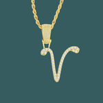 Load image into Gallery viewer, Custom Letter Pendant - Script Initial【無料ネックレス付属】