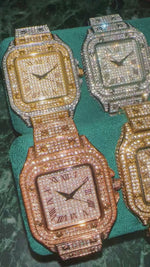 ギャラリービューアでビデオを再生、Ice Out Titan Watch